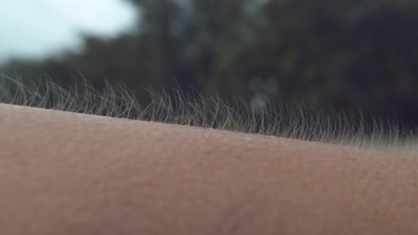 Close Macro Dof Unrecognizable Person Raised Arm Hair Moves Ocean — Stock Video