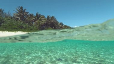 Slow Motion, Yarım Sualtı: Sakin turkuaz okyanus suyu uzak adada pastoral beyaz kum plaj yıkar. Palmiye ağaçları ve nefes kesen egzotik deniz ile çevrili kumlu sahil amazing çekim.