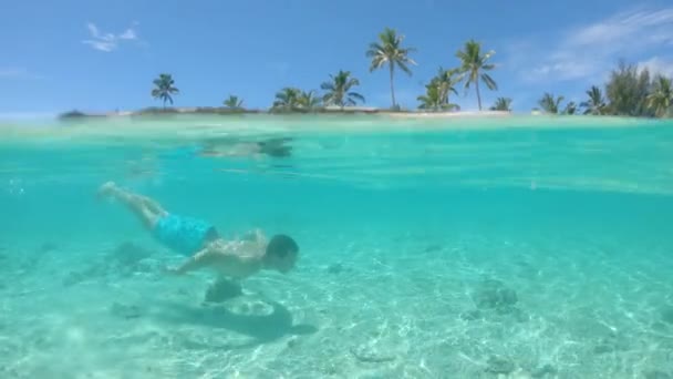 Half Underwater Carefree Man Vacation Swimming Underwater Spectacular Glassy Ocean — Stock Video