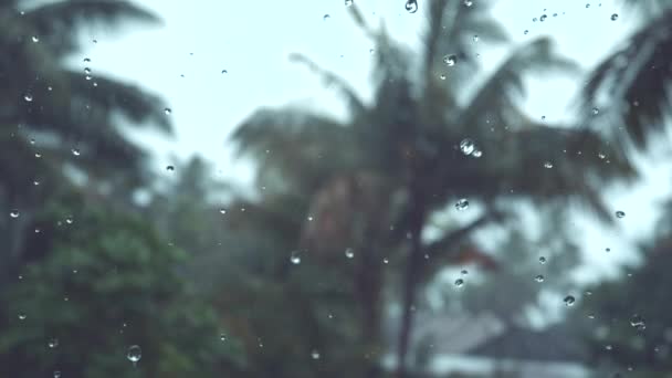 Slow Motion Dof Pesanti Piogge Monsoniche Cadono Rigoglioso Giardino Tropicale — Video Stock