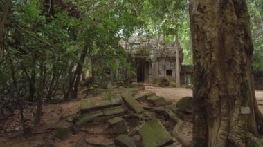 Pov: Angkor Wat'ta çürüyen bir tapınak girişine doğru büyük bir ağacın yanından geçerken sinematik bir çekim. Sessiz kırsal Kamboçya'da bir Budist tapınak kompleksinde binalardan birinin kalıntıları yaklaşırken.