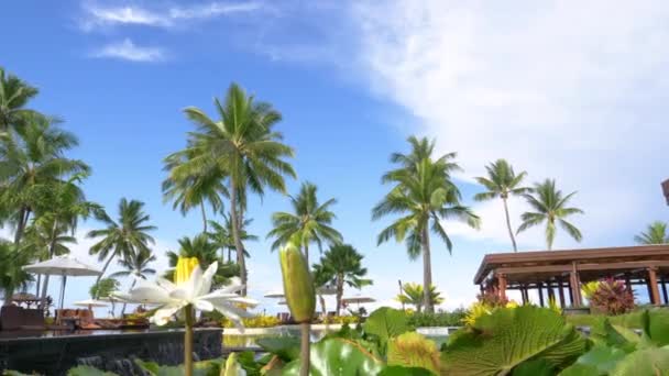 クローズアップ 緑豊かな緑と花は 穏やかな海の完璧な景色と空の休日のリゾートの真ん中に人工滝を華やかに クック諸島の息をのむようなオーシャンフロントの高級ホテル — ストック動画