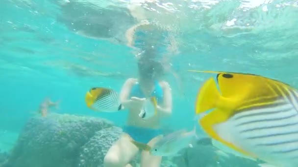 Onderwater Jonge Vrouw Met Een Zwarte Snorkelen Masker Voederen Van — Stockvideo