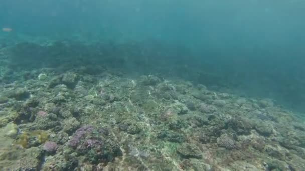 Slow Motion Onderwater Big Duik Barrel Wave Rolt Naar Camera — Stockvideo