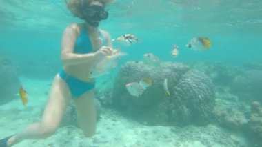 Sualtı: Turkuaz bikinili kadın snorkeler küresel ısınmadan zarar ağartılmış mercan keşfetmek bir grup egzotik balık beslenir. Genç kadın dalış gözyaşları tropikal vahşi yaşam beslemek için ekmek.