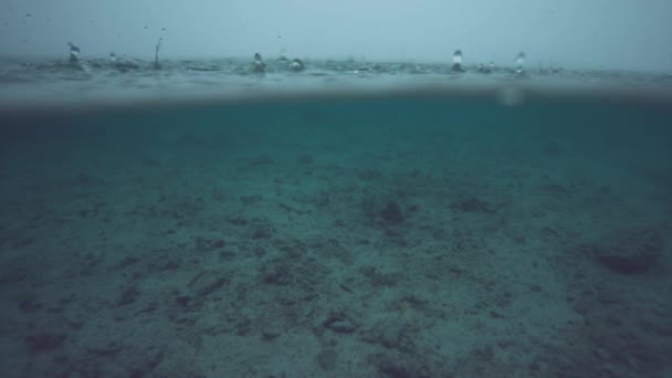 ハーフ水中 スローモーション マクロ Dof 無限の深い青い海は 激しい熱帯暴風雨に巻き込まれます 雨の小さな滴は エキゾチックな海の表面の上に息をのむようなテクスチャを作成します — ストック動画