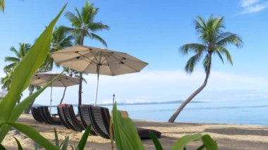 Palmiye ağaçlarıyla çevrili özel egzotik plaj ve oceanfront hotel şezlong muhteşem manzarası. Sakin okyanus ve beach şaşırtıcı bir görünümü için uzak adada lüks tatil beldesi üzerinden yapmak.