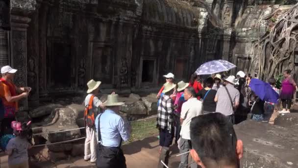 アンコールワット カンボジア 2017年4月 古代ヒンドゥー教寺院の遺跡を探検傘を持つ無数のアジアの観光客 アンコールワットの崩壊の写真を撮る人々の必死の塊のオーバーヘッドショット — ストック動画