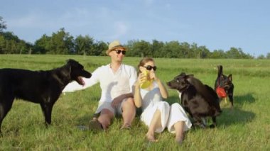 Yavaş Hareket: Genç Kafkas çift güneşli bahar doğada üç frisky sınır collies ile oynar. Onların sevimli siyah köpek yavruları ile yaz zevk erkek ve kadın sevimli çekim.