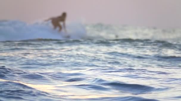 Slow Motion Dof Surfistas Irreconhecíveis Apanham Últimas Ondas Dia Pôr — Vídeo de Stock