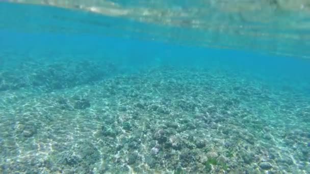 Slow Motion Underwater Spectacular Shot Bright Sunlight Shining Emerald Ocean — Stock Video