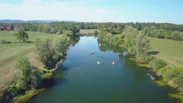 Hava Slovenya Nın Güneşli Yeşil Kırsalından Geçen Sakin Bir Nehirden — Stok video