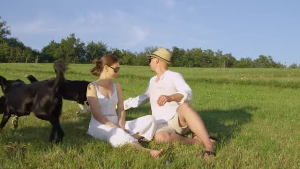 Yavaş Hareket Güneşli Kırsalda Dinlenirken Neşeli Sahiplerinin Etrafında Eğlenceli Sınır — Stok video