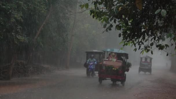 Slow Motion Tuk Tuks Rijden Toeristen Door Bos Krijgen Gevangen — Stockvideo