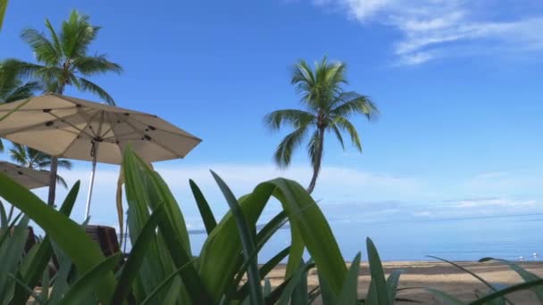 クック諸島の息をのむようなトロピカルビーチで 傘の下で休む美しい豪華なホテルのラウンジチェア 夏の完璧な静かな日にプライベートオーシャンフロントの砂のリゾートの牧歌的なショット — ストック動画
