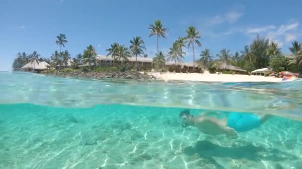 슬로우 해변과 야자수로 둘러싸인 가까운 쾌활한 스노클링 물에서 다이빙하는 — 비디오