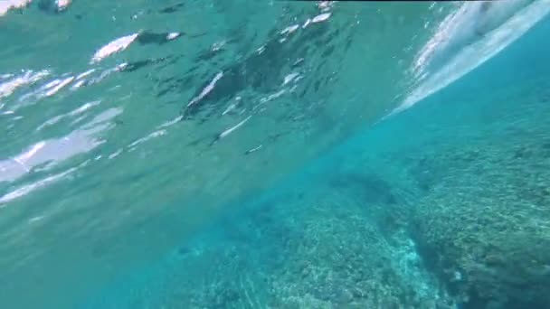 Low Motion Comderwater Turista Ativo Irreconhecível Férias Desportivas Surfando Uma — Vídeo de Stock