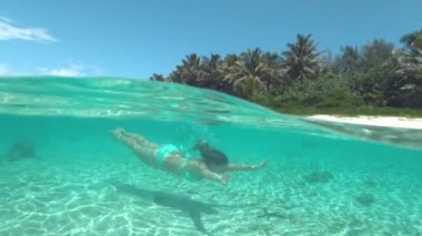 Slow Motion, Yarım Sualtı: Tatil mutlu genç kadın cennet adada kumlu plaj boyunca çarpıcı okyanusta dalış. Okyanus tabanını keşfeden bikinili kadın siyah bir denizyıldızı buldu.