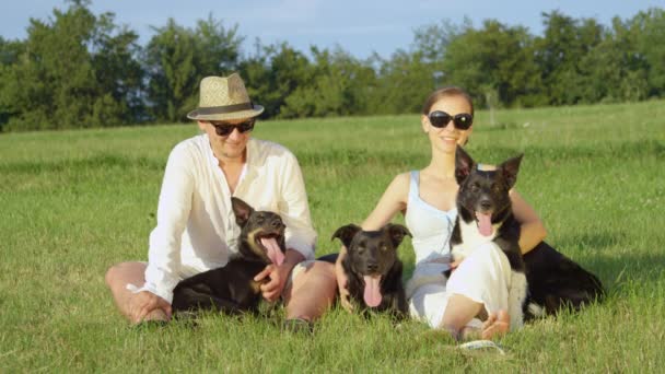 Motion Lent Portrait Charmant Couple Est Assis Dans Champ Herbeux — Video