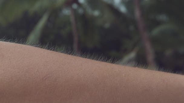 Cerrar Macro Dof Joven Hembra Irreconocible Tiembla Clima Frío Playa — Vídeo de stock