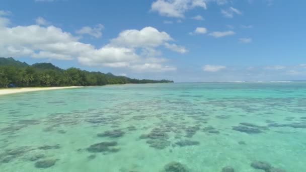 飞越太平洋的宁静水域 靠近壮观的热带岛屿 风景如画的绿松石海洋和偏远岛屿海滩上壮观的热带植被的电影拍摄 — 图库视频影像