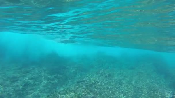 Slow Motion Underwater Unrecognizable Pro Rider Carving Stunning Glass Wave — стоковое видео