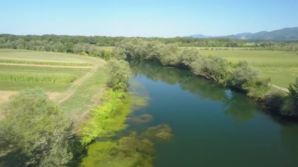 沿着一条美丽的河流飞过斯洛文尼亚农村的广阔乡村 在阳光明媚的日子里 从宁静的绿色景观之上欣赏壮观的景色 静河的壮丽镜头 — 图库视频影像
