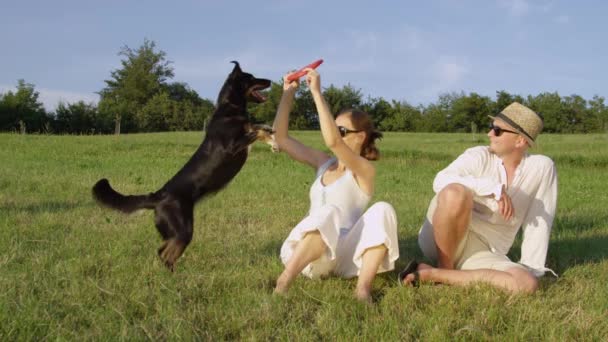 Movimiento Lento Mujer Joven Sonriente Sostiene Frisbee Naranja Cachorro Juguetón — Vídeos de Stock