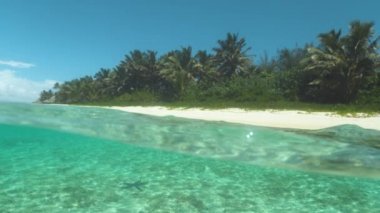Slow Motion, Half Underwater: Paradise island beach güneşli bir yaz öğleden sonra sakin kristal berraklığında deniz tarafından süpürüldü. Boş beyaz kum plaj, palmiye ağaçları ve deniz tabanında denizyıldızı pastoral atış.
