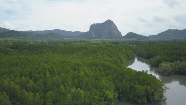飞越广阔的热带雨林和流入喀斯特大陆的懒河 云聚集在雄伟的石灰岩岩溶景观覆盖未受破坏的异国情调的绿色植物 — 图库视频影像