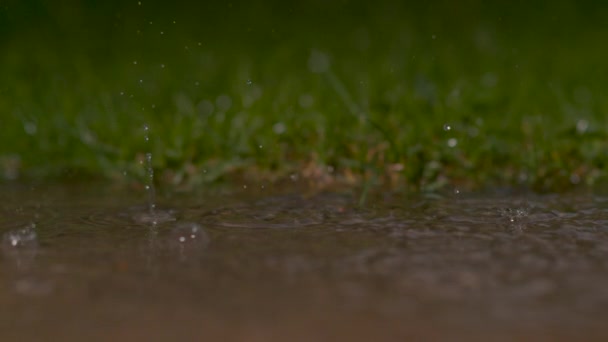 Slow Motion Close Dof Gocce Pioggia Che Cadono Una Pozzanghera — Video Stock