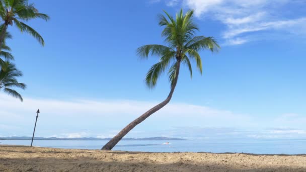 Гарний Екзотичний Піщаний Пляж Залишається Порожнім Ідеальний Сонячний День Щаслива — стокове відео