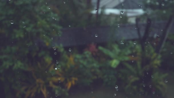 慢动作 微小的闪闪发光的雨滴落在郁郁葱葱的热带后院 空置的度假屋在强烈的热带暴雨中被困 雨落在异国情调的绿地上 — 图库视频影像