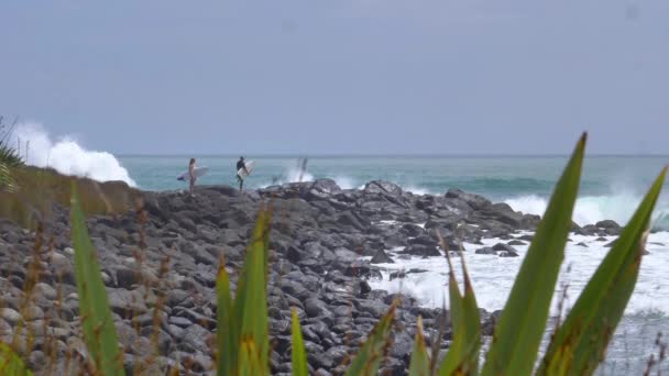 ラグラン ニュージーランド 2017年12月 2人のサーファーが美しい青い海を見てサーフィンに行くのを待ちます 涼しいサーファーは黒い岩のビーチに立つ — ストック動画