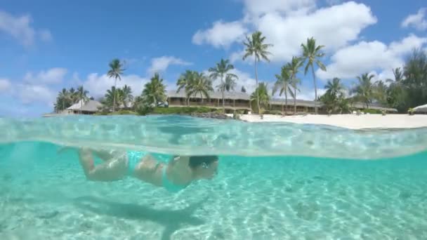 Половина Підводного Безтурботна Дівчина Занурення Кришталево Чистою Водою Під Час — стокове відео