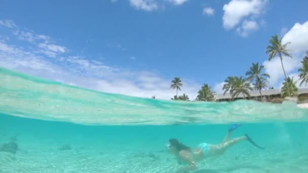 半分の水中 日当たりの良いクック諸島の近くの息をのむようなガラス張りの海でシュノーケリング気楽な女の子 素晴らしい夏休みの女性は エキゾチックな白い砂浜の近くにさわやかなダイビングのために行きます — ストック動画