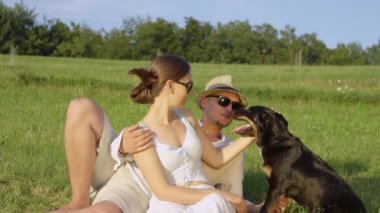 Slow Motion, Close Up: Genç Kafkas çift boş çayırgüneşli bir günde onların güzel sınır collie köpek evcil hayvan. Güzel bir köpek Bakım erkek ve kadın sahipleri kendi evcil hayvan ile yaz keyfini çıkarın.