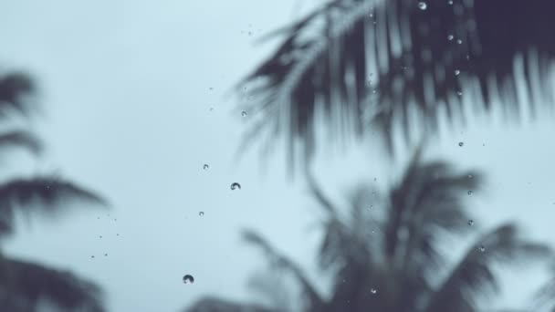 スローモーション Dof モンスーンシーズン中の大雨は 空のビーチの近くに緑豊かなエキゾチックな植生を洗います 小さな輝く雨滴は 暗い曇り空と過去の背の高いヤシの木から落ちる — ストック動画