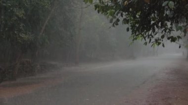 Yavaş Hareket: Kamboçya'nın kırsal kesiminde tropikal bir ormandan geçen boş beton yola düşen şiddetli muson yağmuru. Yoğun tropik yağmur fırtınasının sinematik görünümü kırsal yolu yıkıyor.