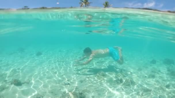 スローモーション ハーフ水中 若い男性観光客は 遠隔熱帯の島に位置する素晴らしいオーシャンフロントリゾートの近くで泳ぎます 絵のように美しい砂浜に沿って息をのむような海でダイビングアクティブな男 — ストック動画