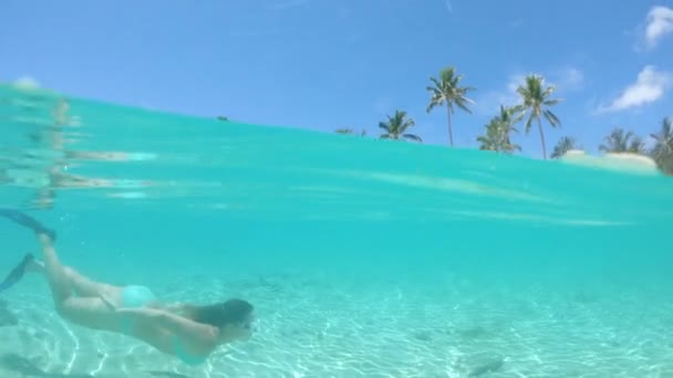 여행자가 근처의 숨막히는 물에서 스노클링을 합니다 근처의 수정처럼 바다에서 마스크와 — 비디오