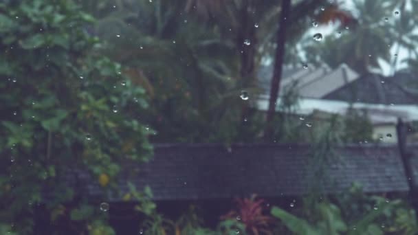 Slow Motion Dof Tropische Regen Valt Het Zwarte Overdekte Vakantiehuis — Stockvideo