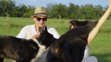 Yavaş Hareket, Close Up: Enerjik köpekler kendi kadın sahibinin elinden bir frizbi kapmak için deneyin. Genç Kafkas çift kırsal güneşli bir günde onların eğlenceli sınır collies ile eğleniyor.