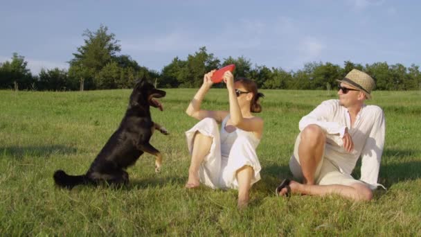 Motion Lent Chien Énergique Avec Beau Manteau Noir Aboie Tandis — Video