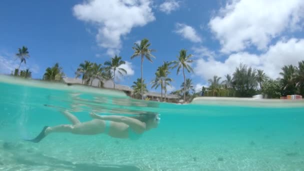 ハーフ水中 スローモーション ターコイズビキニの若い女性旅行者は エキゾチックな島の周りにシュノーケリング旅行を楽しんでいます 白い砂浜の近くの見事なオーシャンフロントホテルをシュノーケリングする女性 — ストック動画