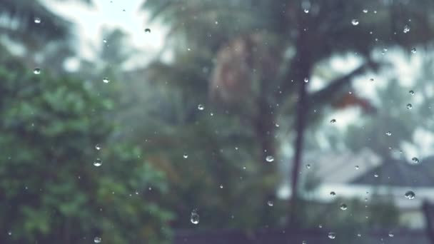 Slow Motion Dof Tiny Raindrops Fall Dark Overcast Sky Tropical — Stock Video