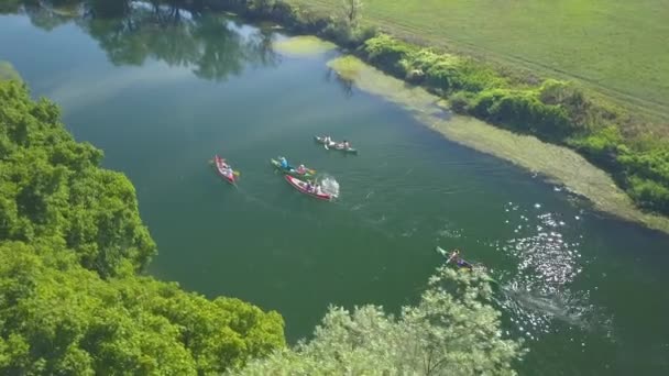 カヌーで日当たりの良い田舎の風景を探索する観光客のグループに沿って飛ぶ アクティブな若い旅行者は スロベニアの絵のように美しい緑の田園地帯で穏やかな川を下って彼らのカヌーをパドル — ストック動画