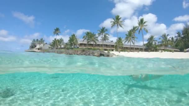 Agua Subvendedor Niña Relajantes Inmersiones Vacaciones Verano Cerca Hermosa Isla — Vídeo de stock