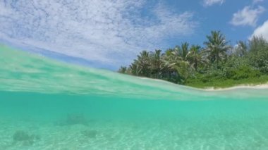 Slow Motion, Half Underwater: Pastoral kumlu plaj mükemmel bir yaz öğleden sonra yumuşak camsı okyanus dalgaları tarafından yıkanMış ediliyor. Maldivler'de nefes kesen shot beyaz kum kıyısı ve palmiye ağaçları.