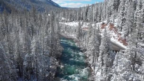 Aerial Emerald Stream Het Verkeer Loopt Door Het Besneeuwde Bos — Stockvideo